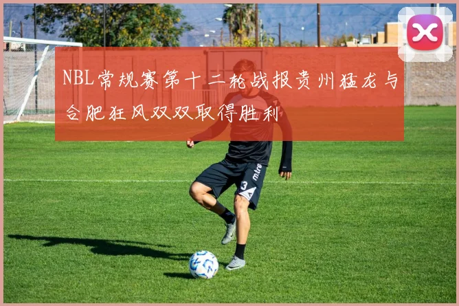NBL常规赛第十二轮战报贵州猛龙与合肥狂风双双取得胜利